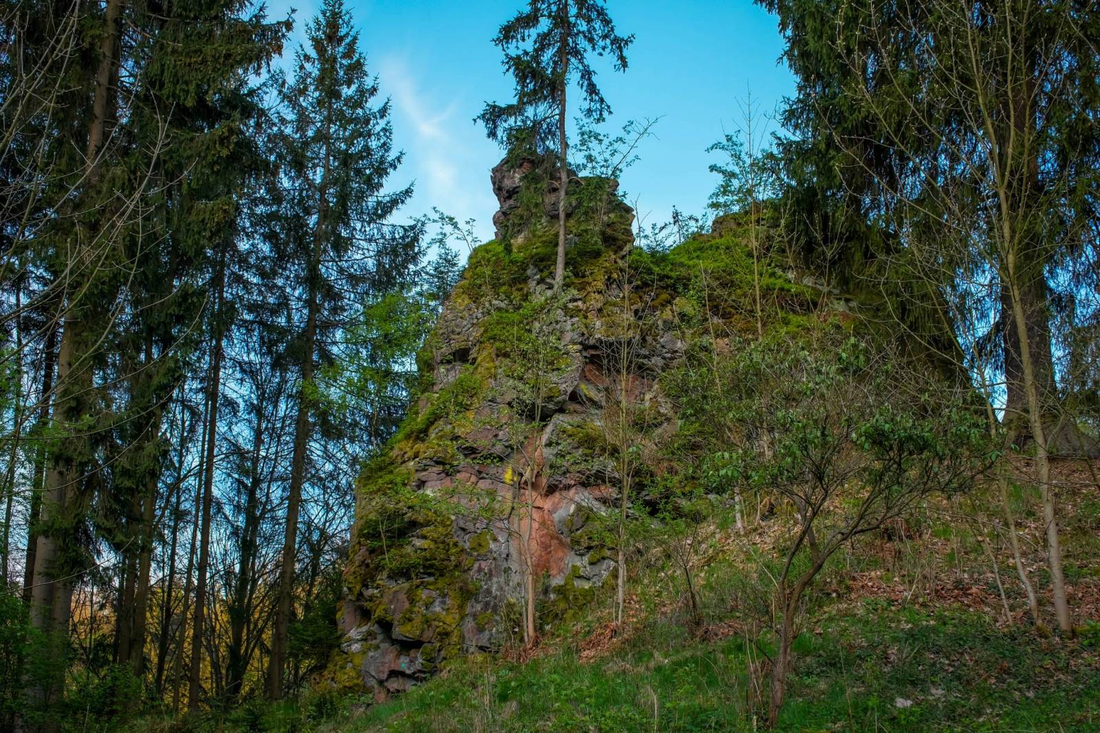 Zdjęcie 3
