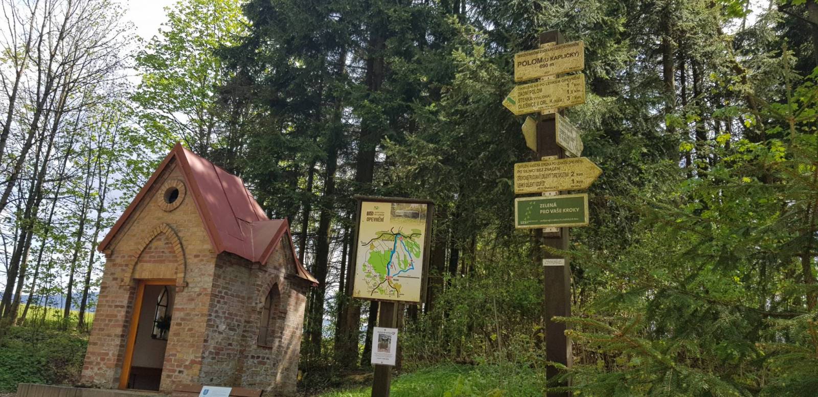 Zdjęcie 5