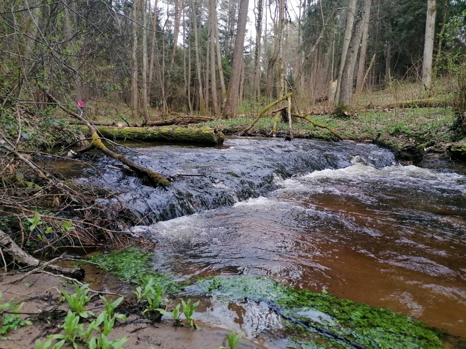 Zdjęcie 6