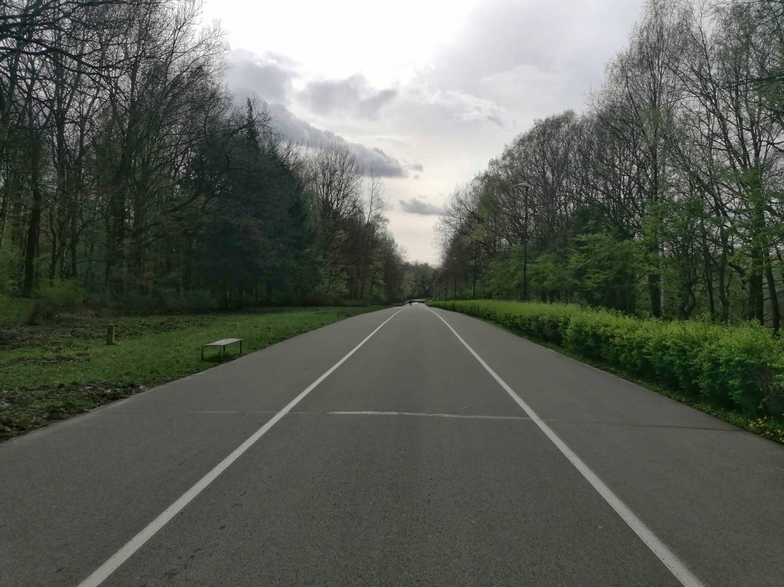 Zdjęcie 5