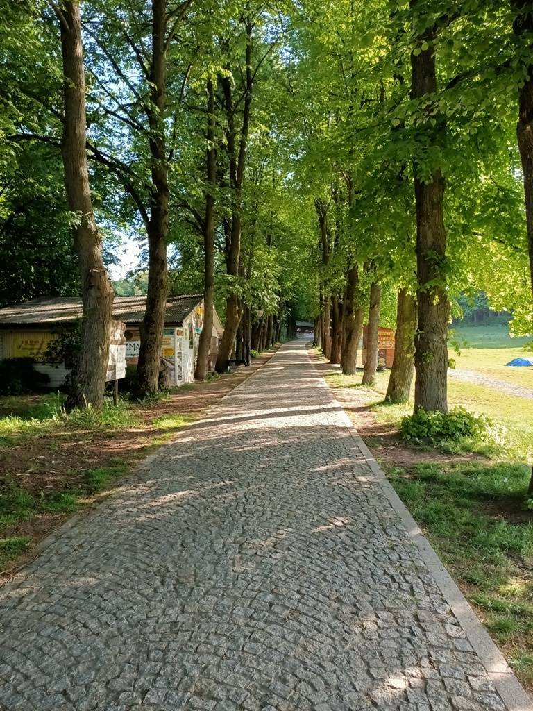 Zdjęcie 5