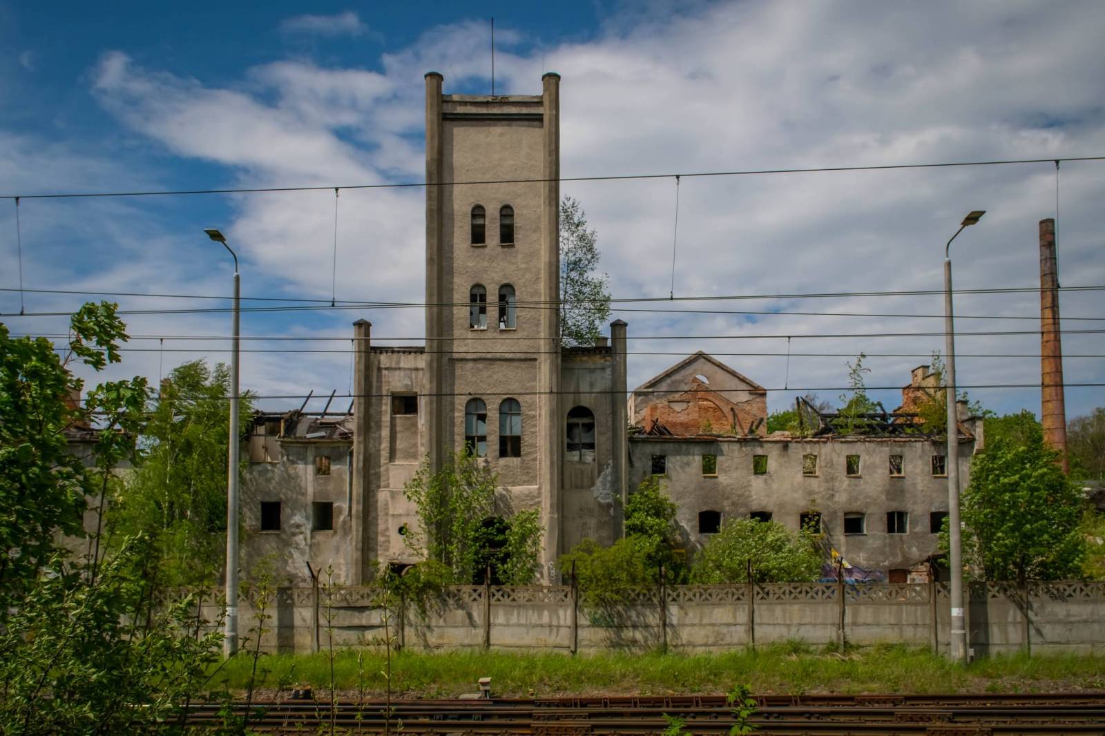 Zdjęcie 6