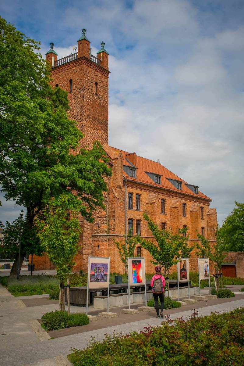 Zdjęcie 5