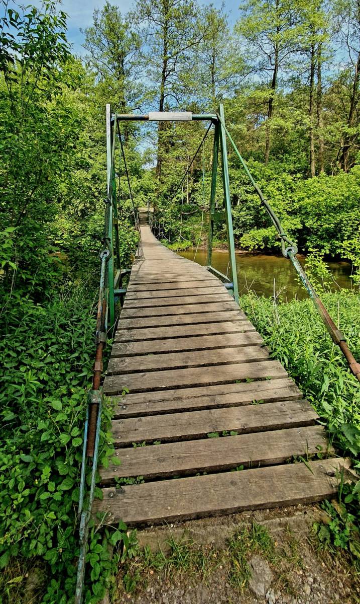 Zdjęcie 3