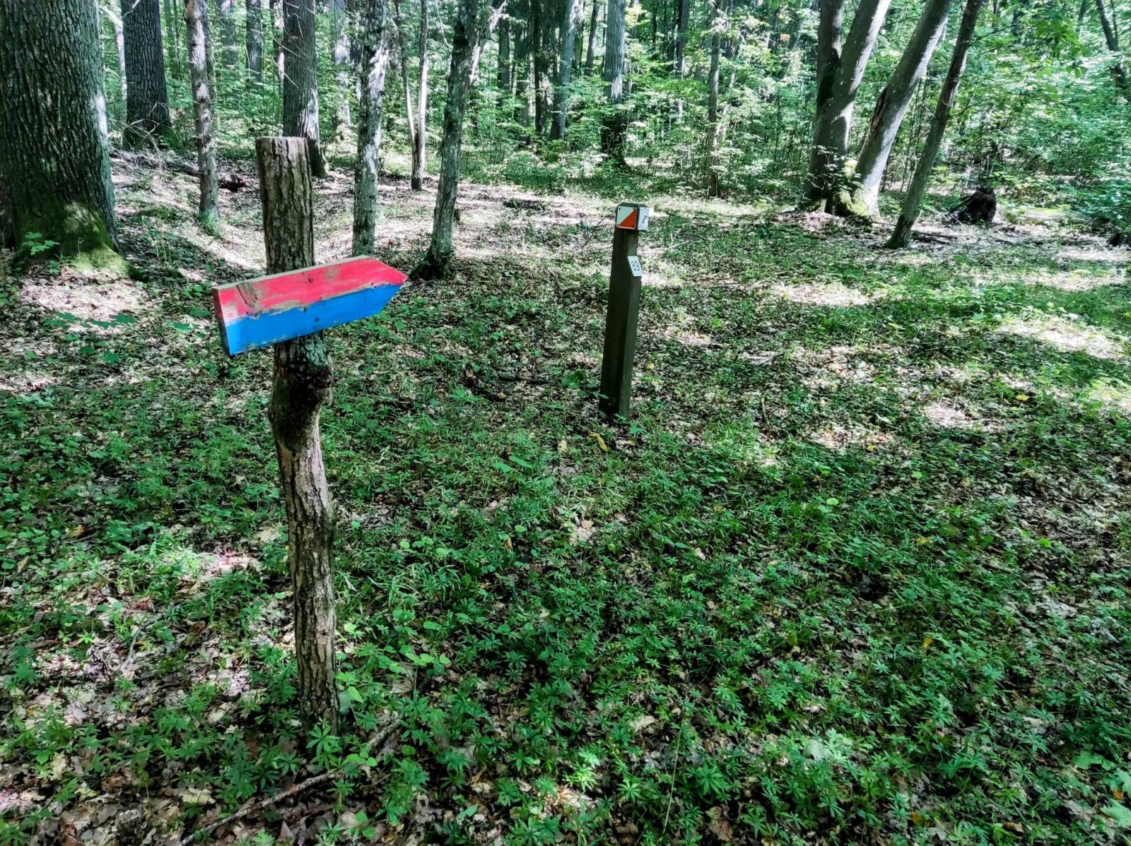 Zdjęcie 6