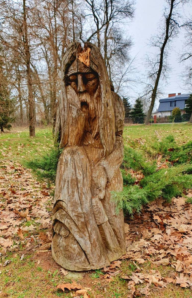 Zdjęcie 6