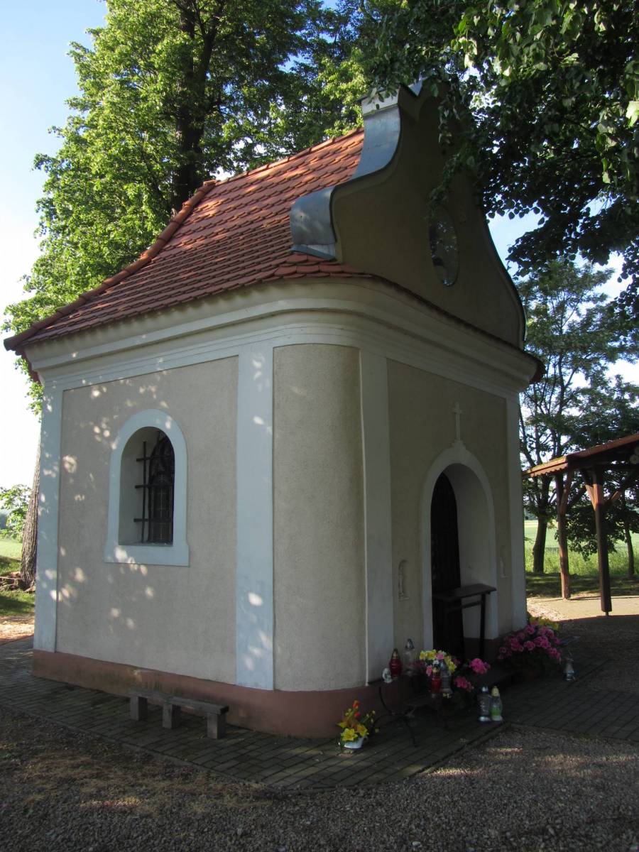 Zdjęcie 3
