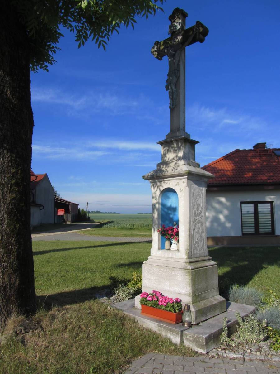 Zdjęcie 4