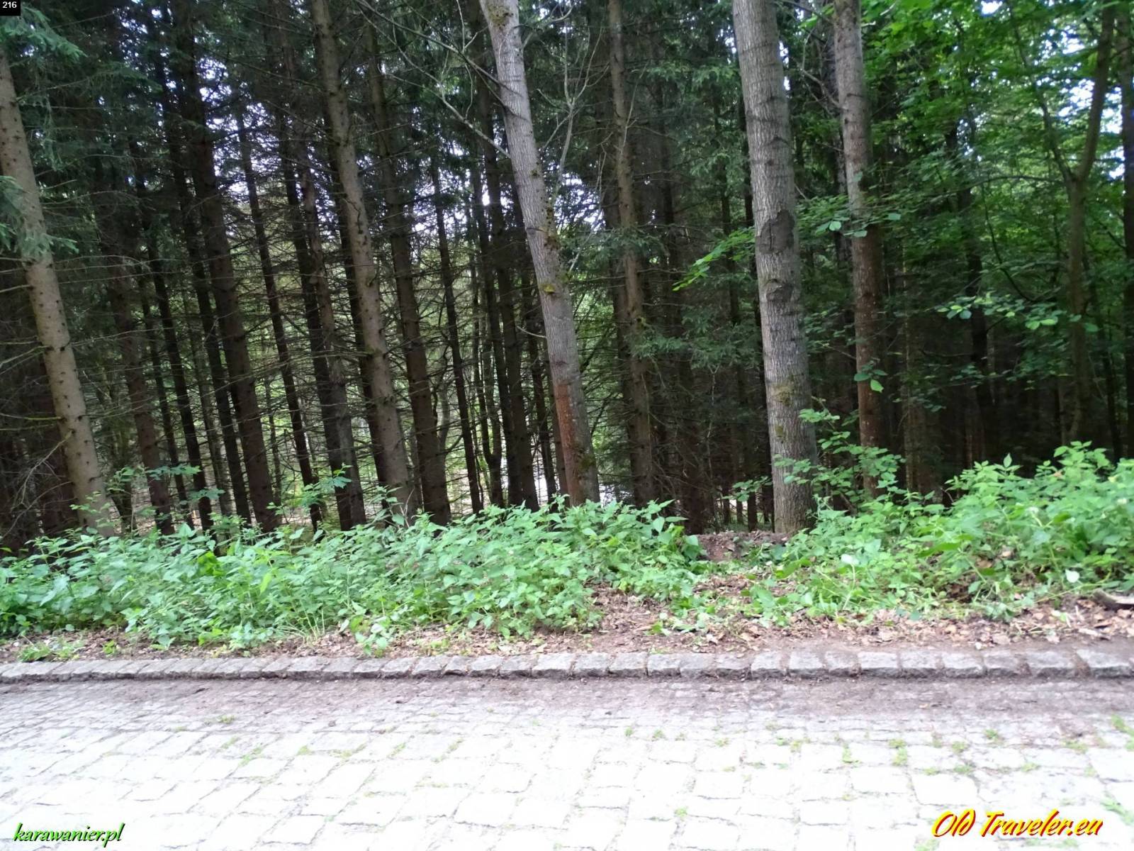 Zdjęcie 5