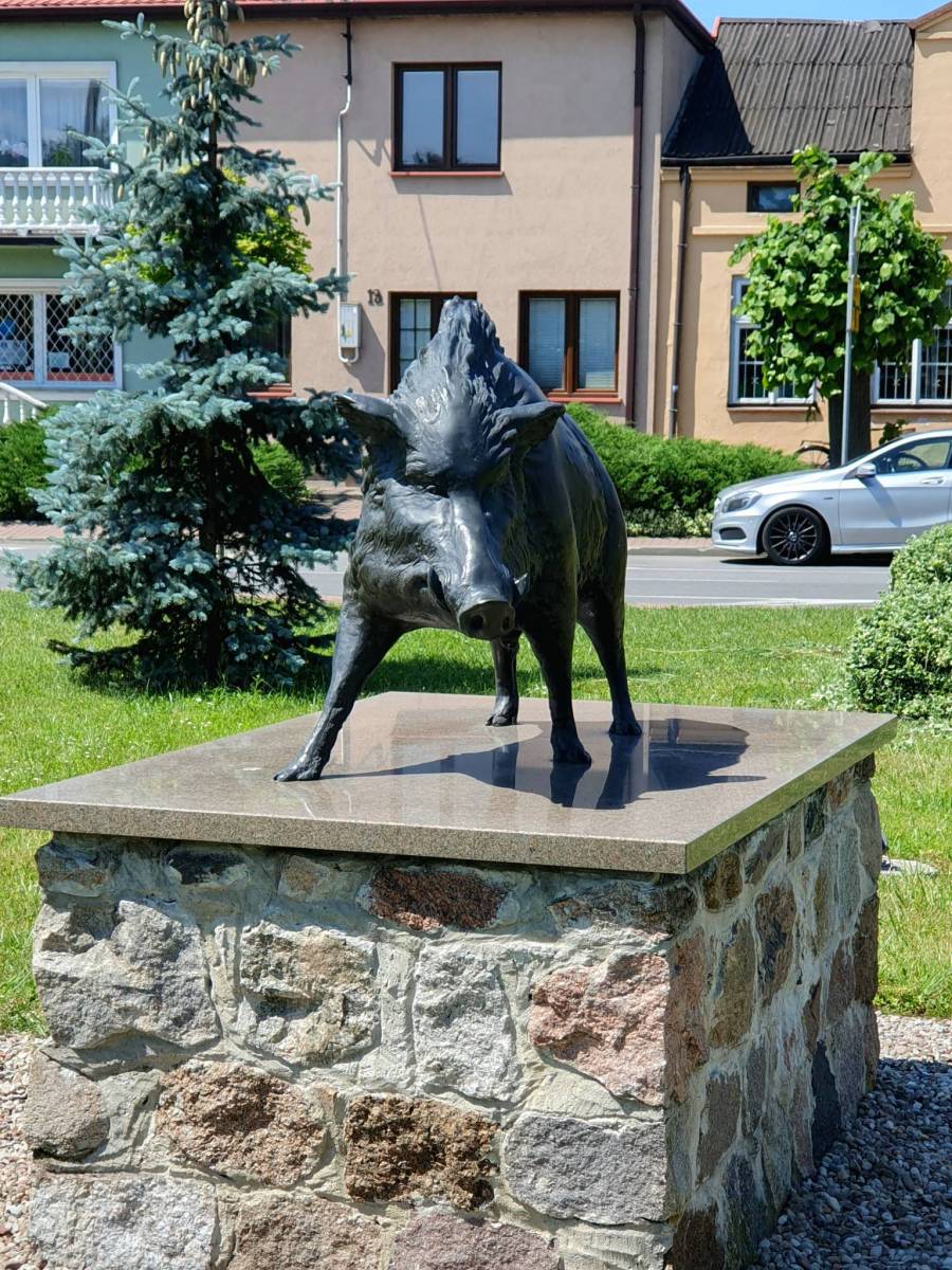 Zdjęcie 6