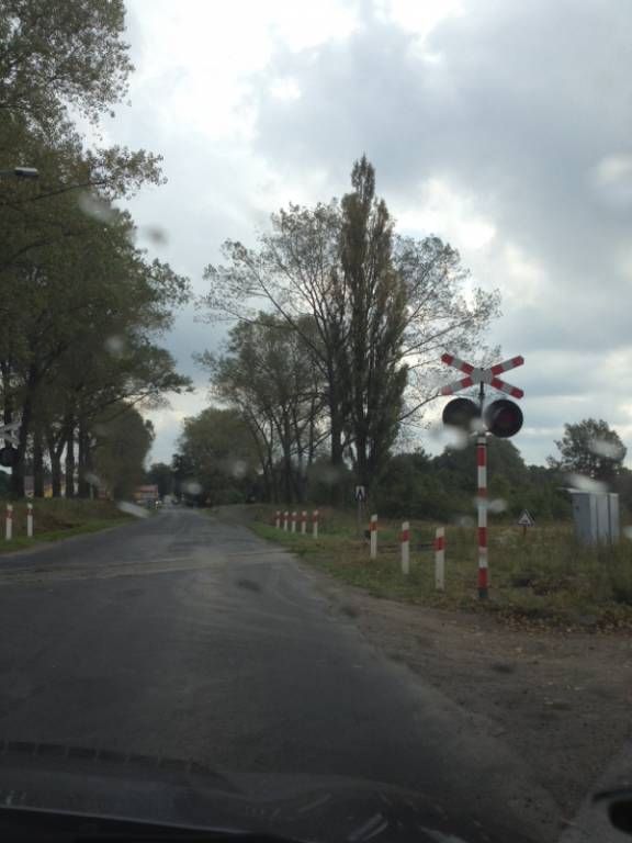 Zdjęcie 6