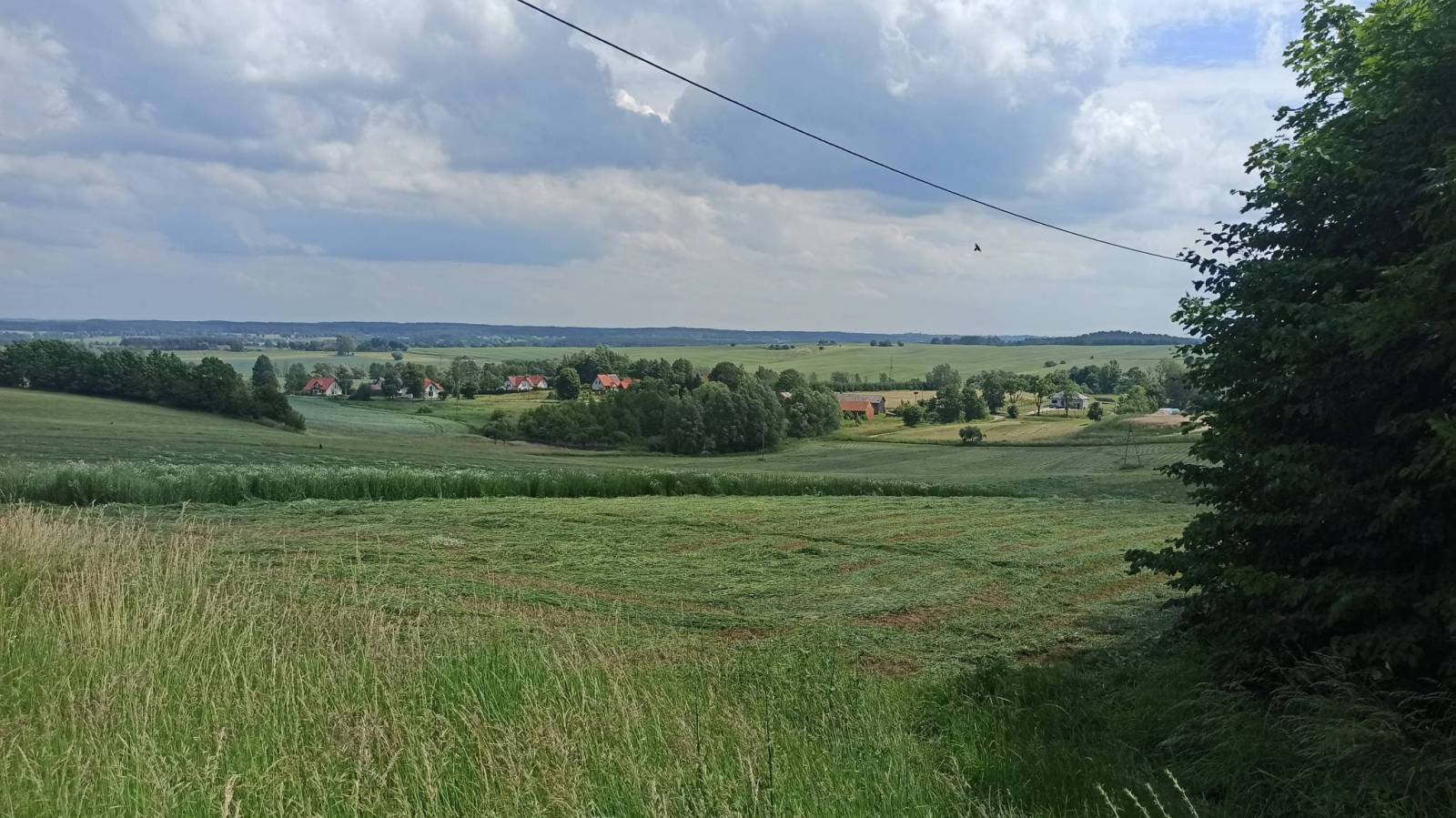 Zdjęcie 5