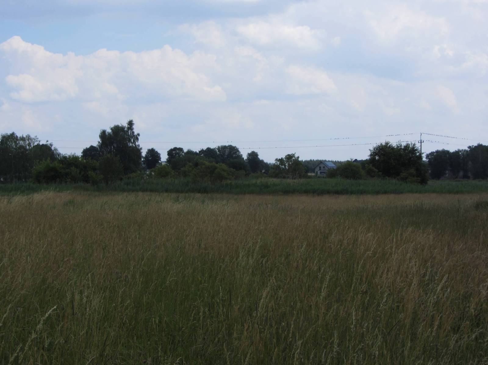Zdjęcie 6