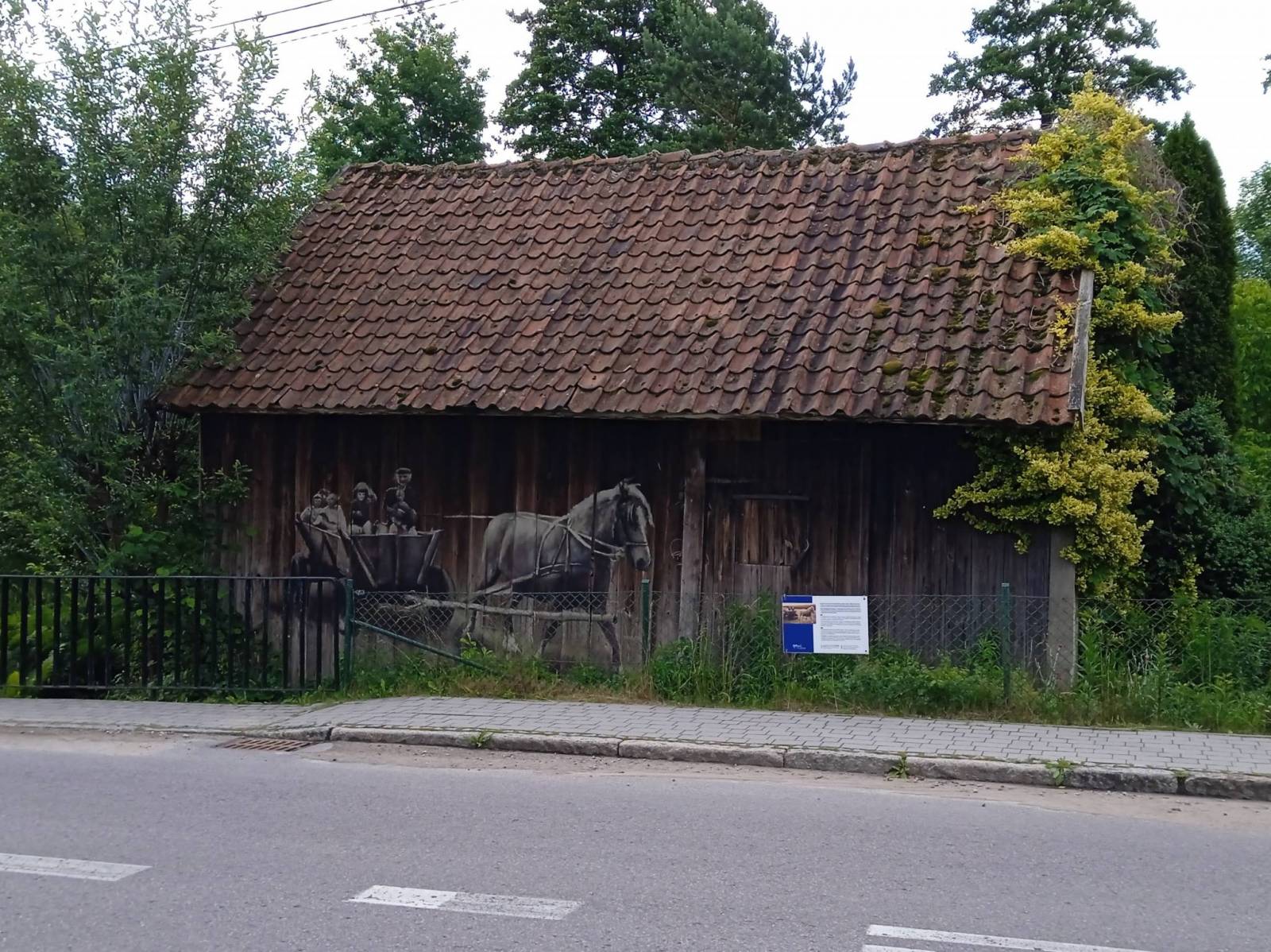 Zdjęcie 2