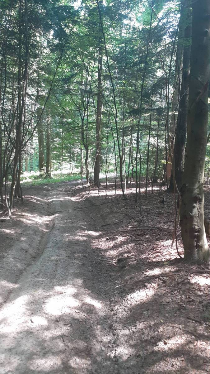 Zdjęcie 6
