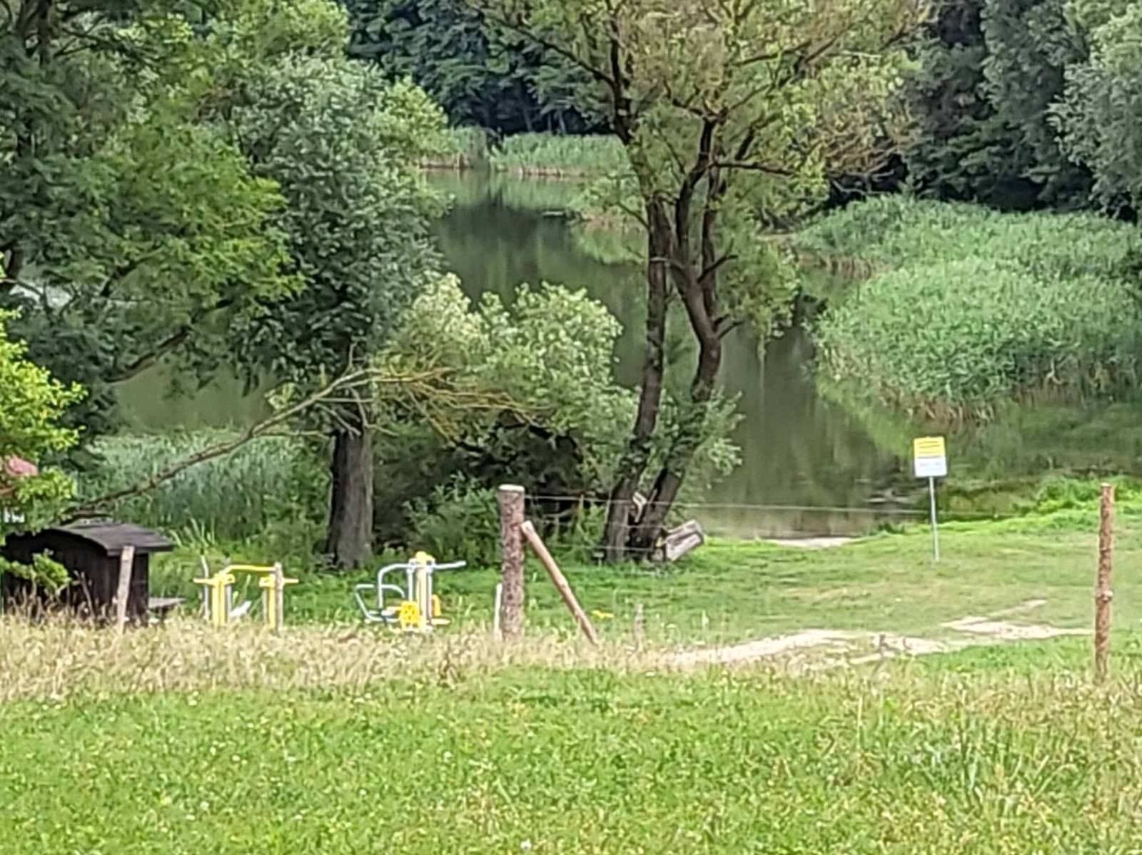 Zdjęcie 6
