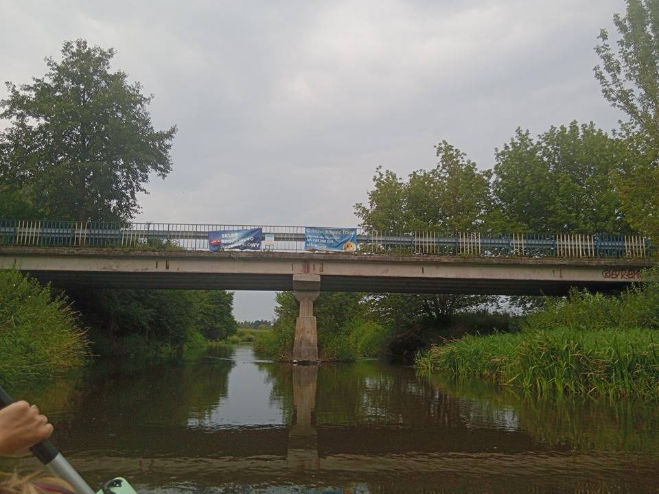 Zdjęcie 6