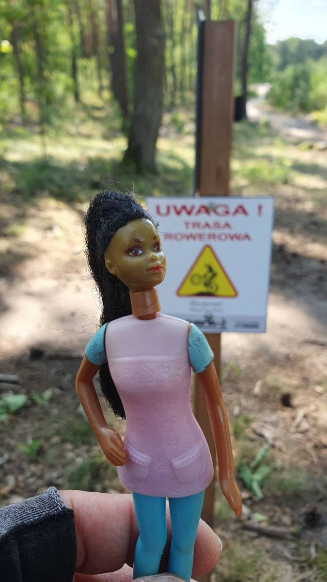 Zdjęcie 4