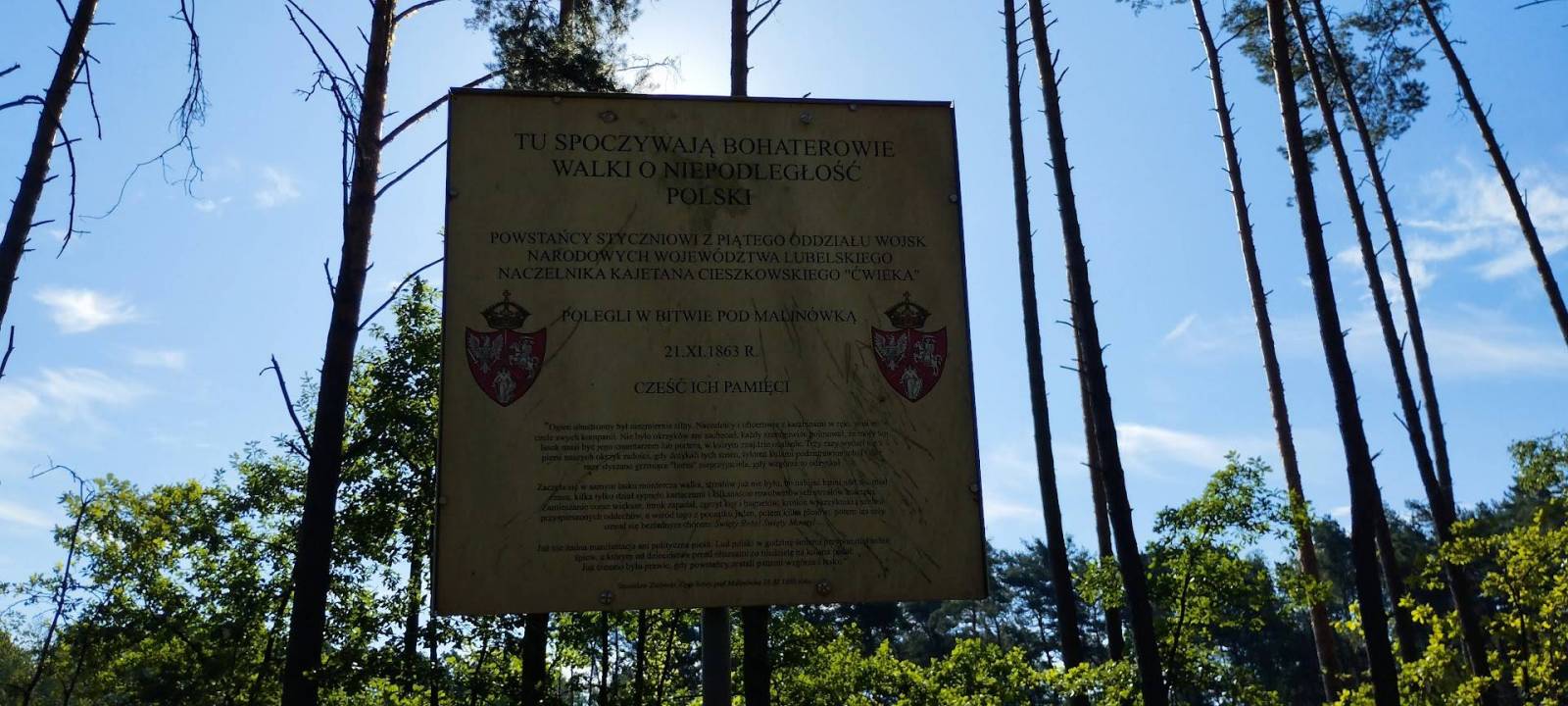 Zdjęcie 4