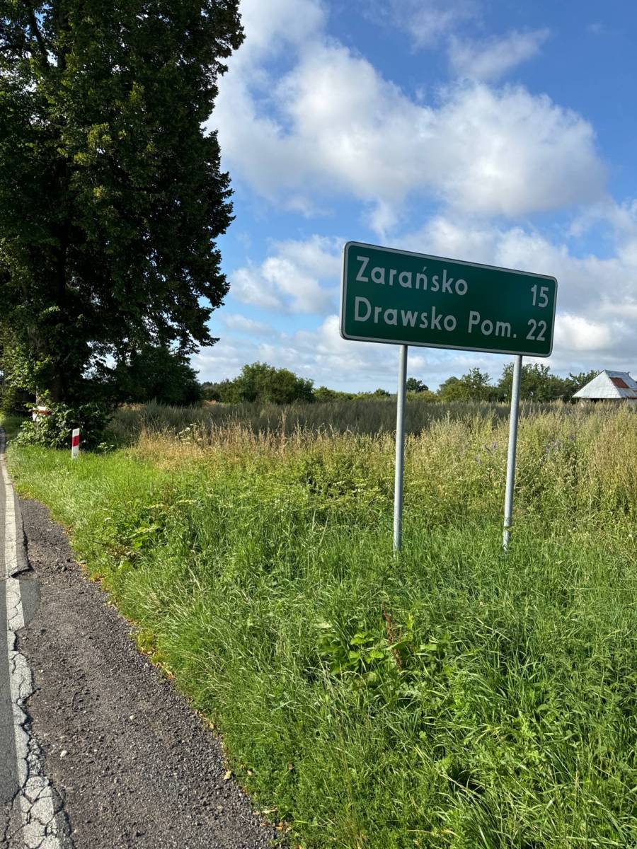 Zdjęcie 4