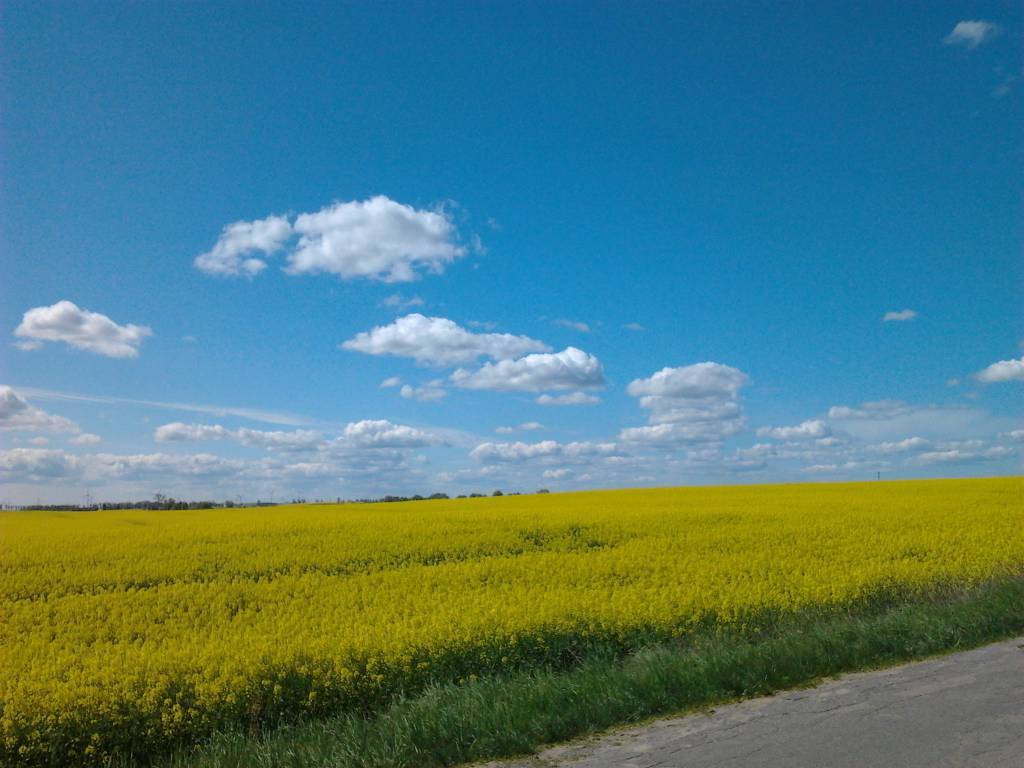 Zdjęcie 5