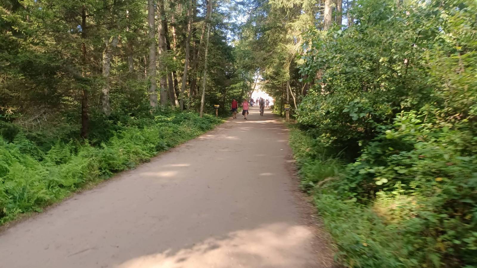 Zdjęcie 2