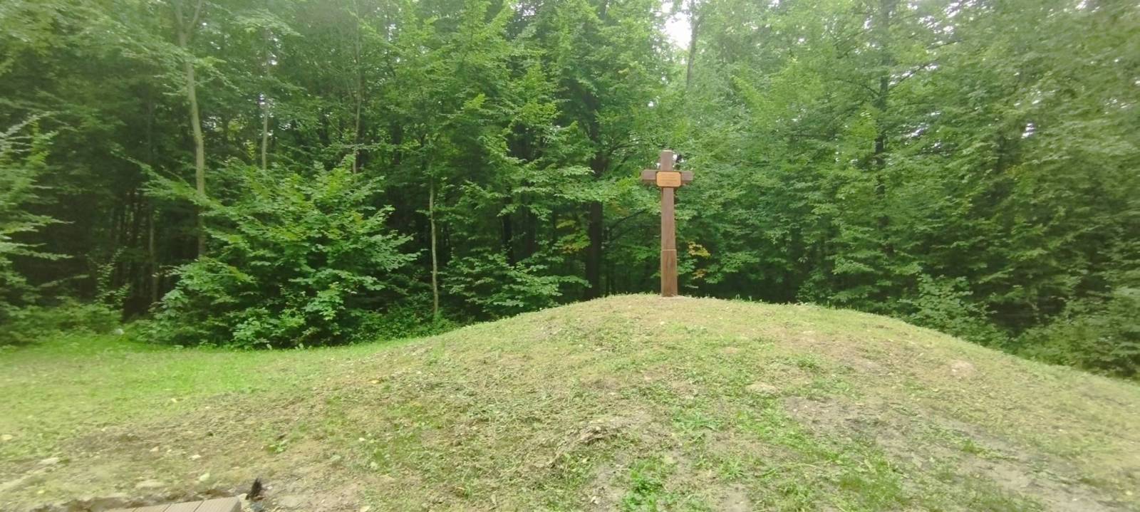 Zdjęcie 4