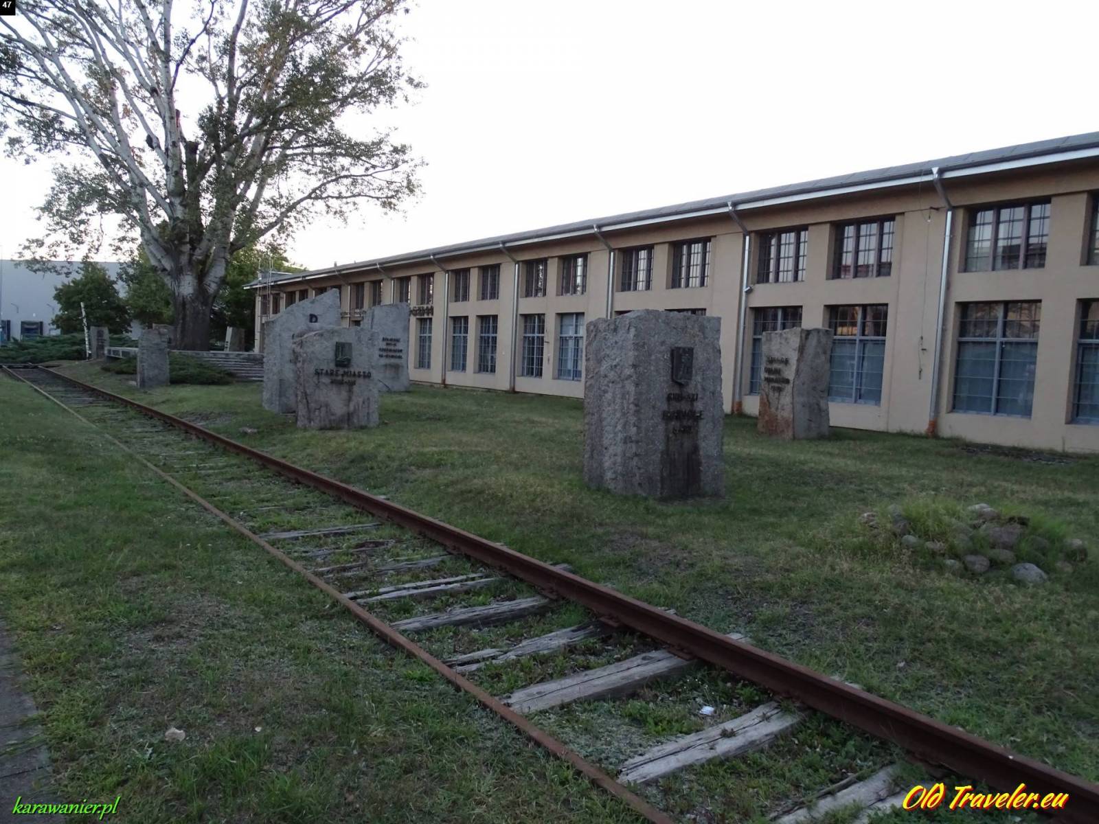 Zdjęcie 6