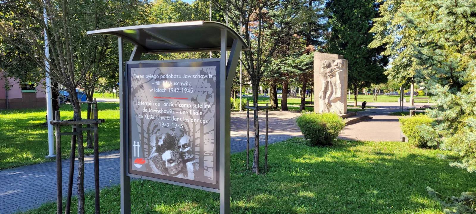 Zdjęcie 5