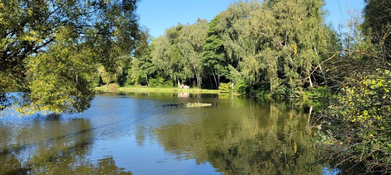 Zdjęcie 4