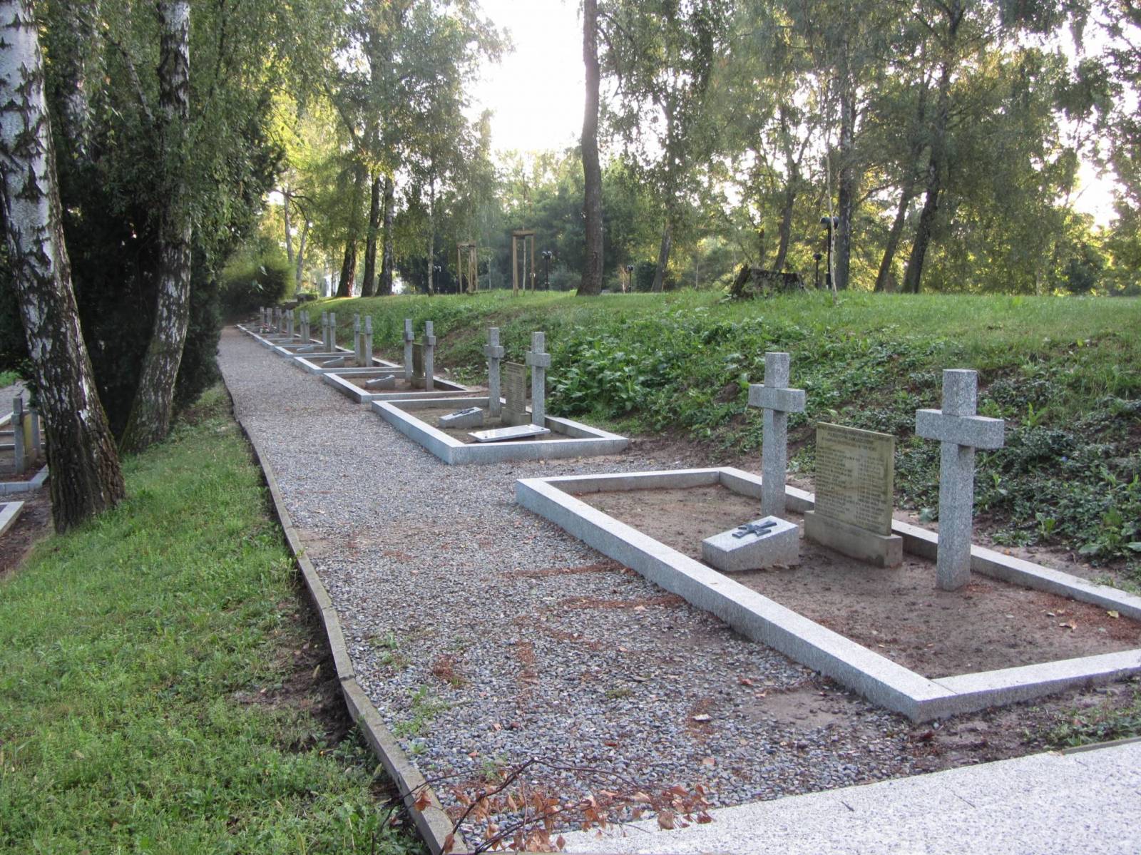 Zdjęcie 5
