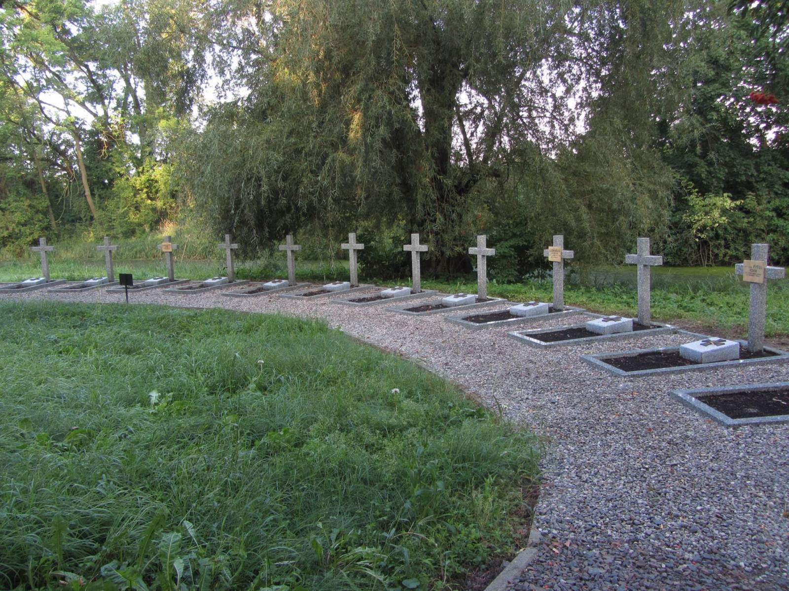 Zdjęcie 6