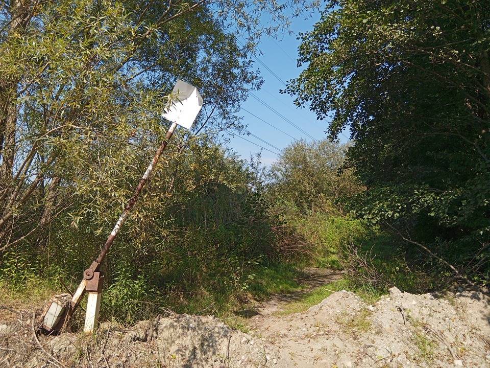 Zdjęcie 3