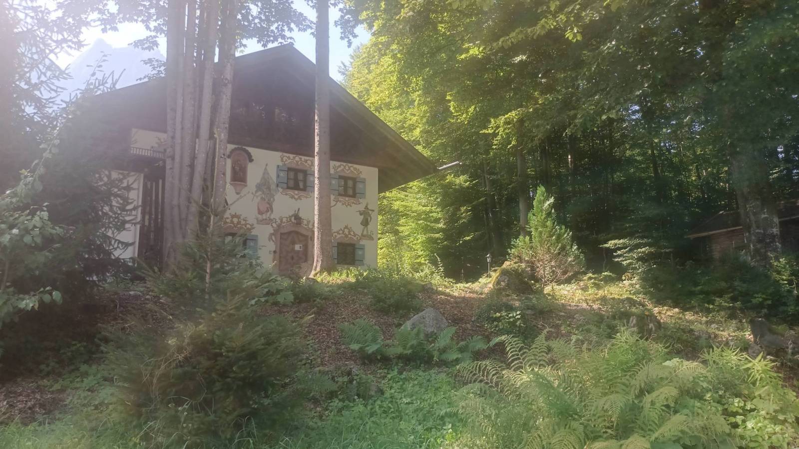 Zdjęcie 2