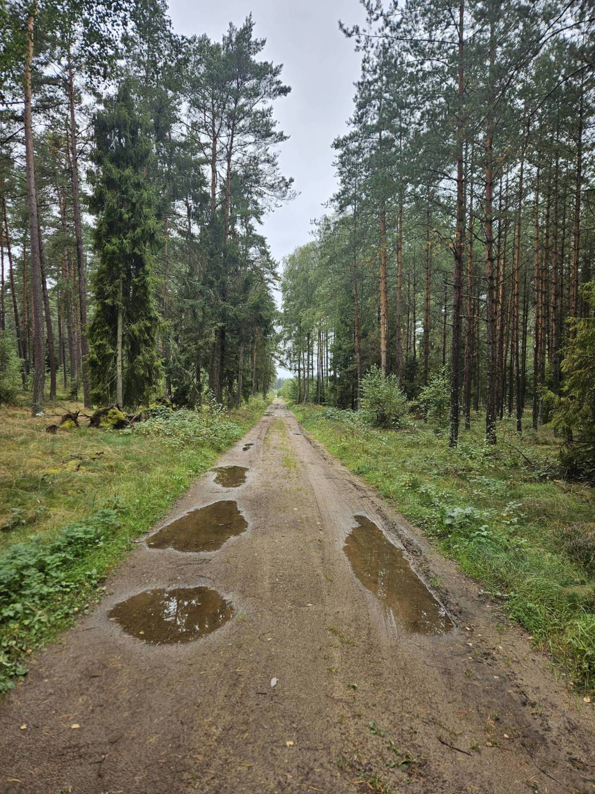 Zdjęcie 4
