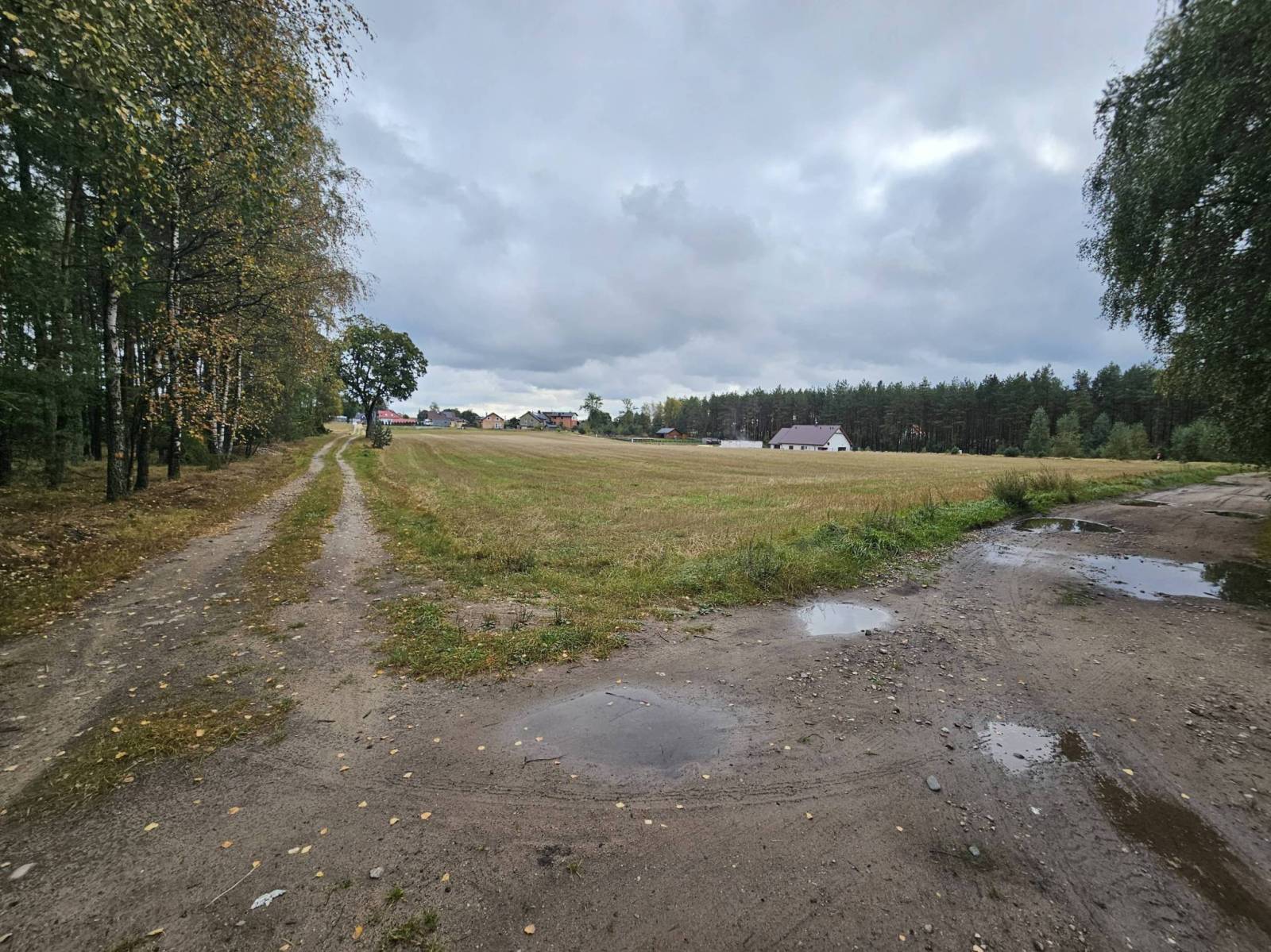 Zdjęcie 5
