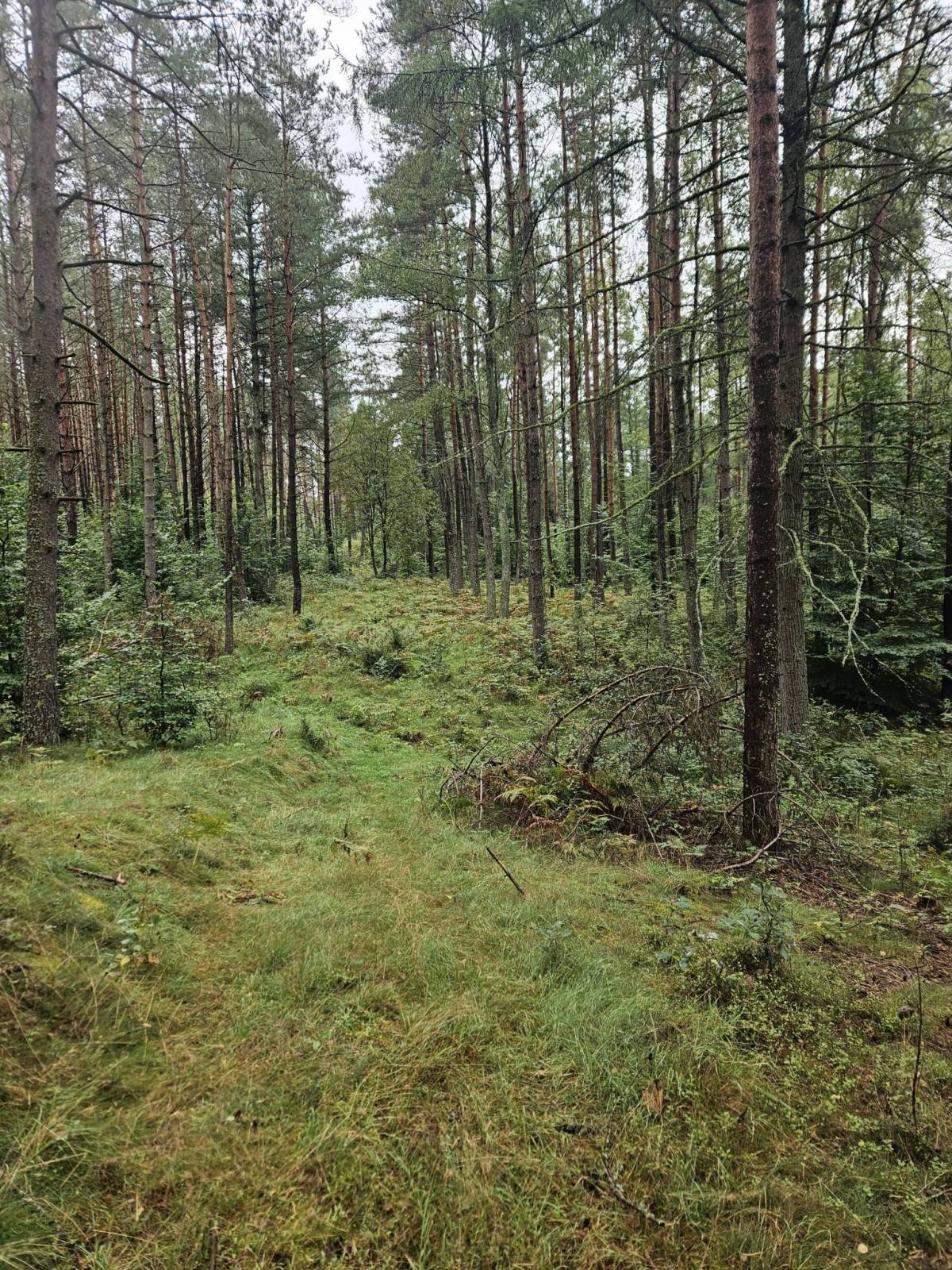 Zdjęcie 6