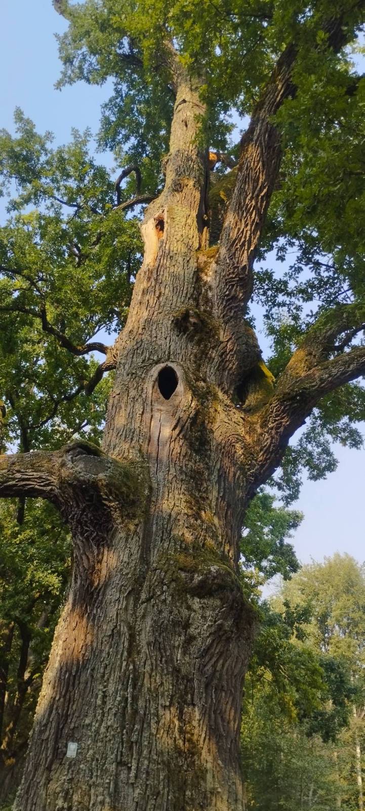 Zdjęcie 4