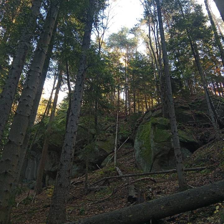 Zdjęcie 2