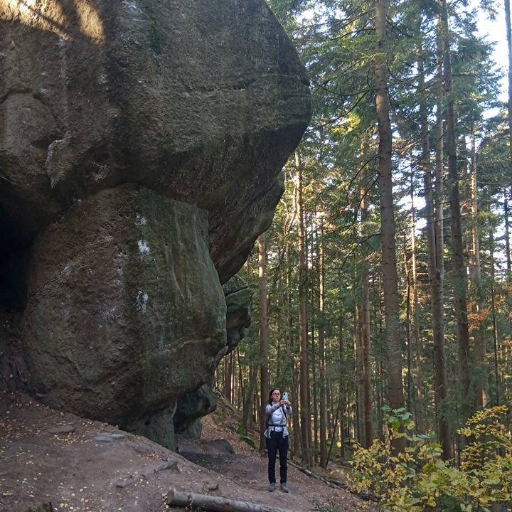 Zdjęcie 3