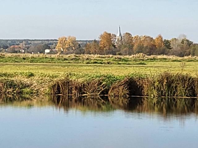 thumb-image