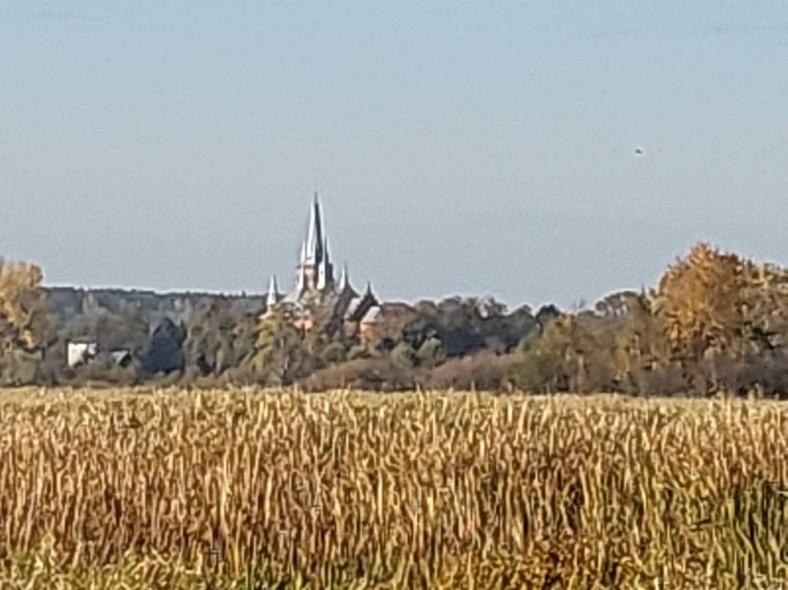 Zdjęcie 2