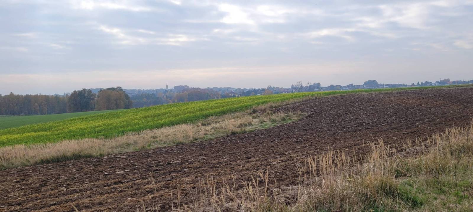 Zdjęcie 6