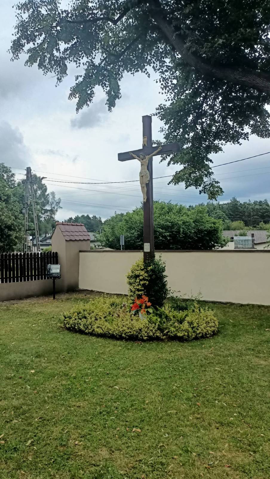 Zdjęcie 6