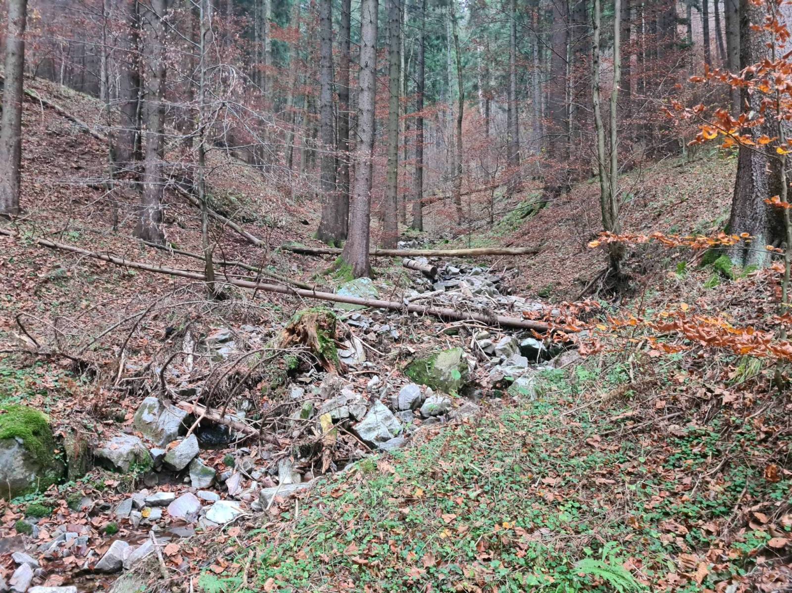 Zdjęcie 2