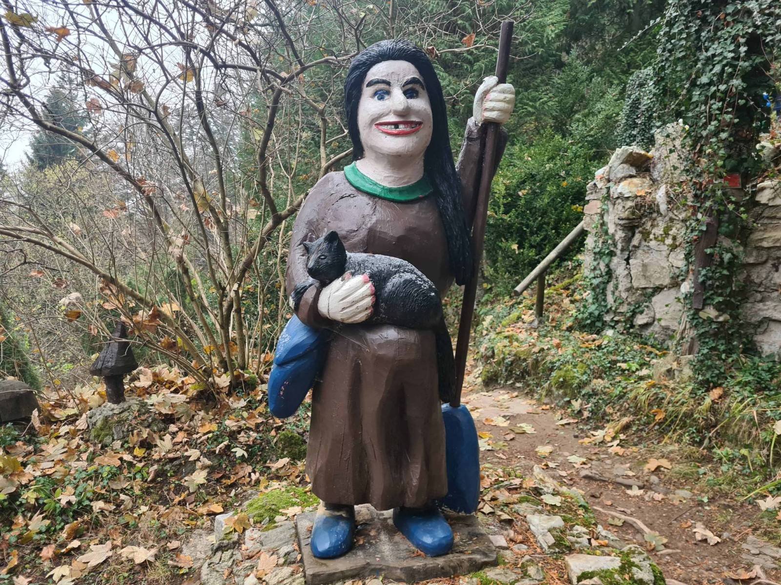 Zdjęcie 5