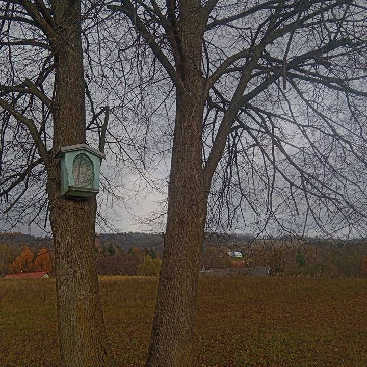 Zdjęcie 4