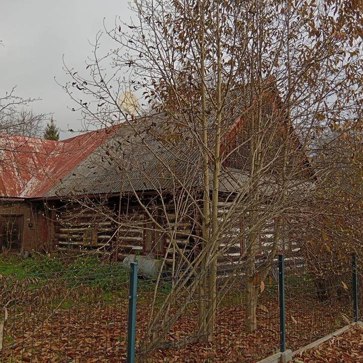 Zdjęcie 6