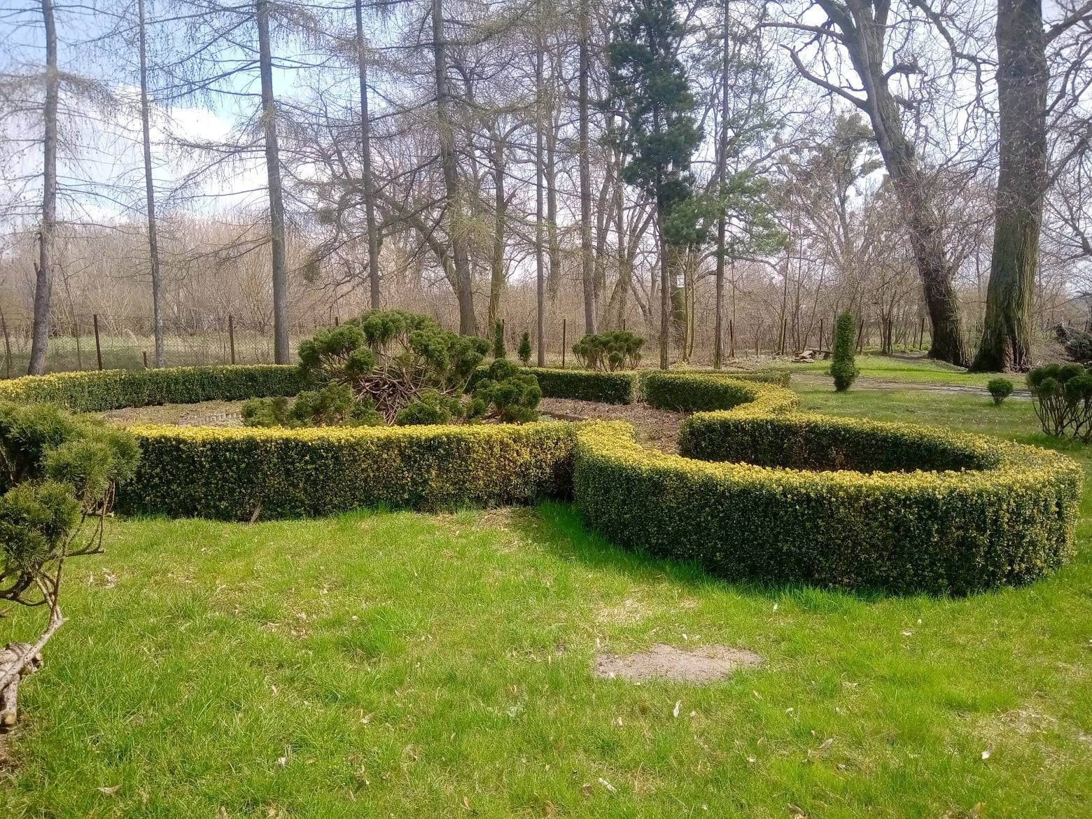 Zdjęcie 6
