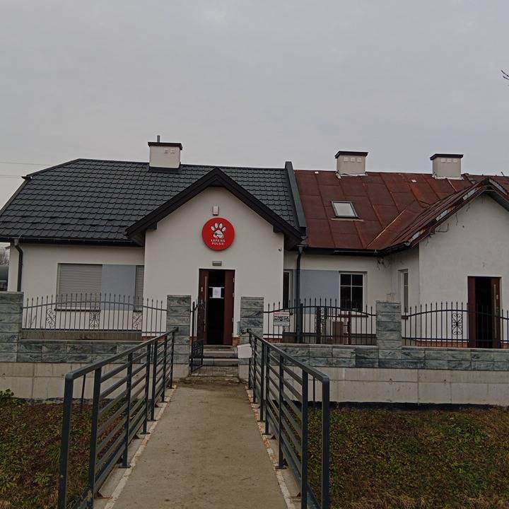 Zdjęcie 3